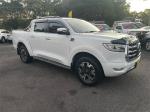 2022 GWM Ute Utility Cannon-X NPW