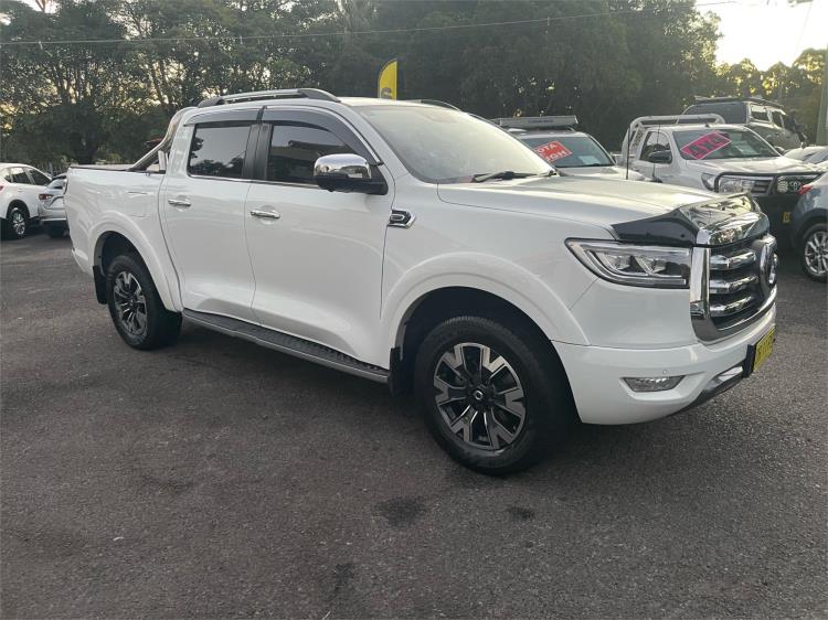 2022 GWM Ute Utility Cannon-X NPW