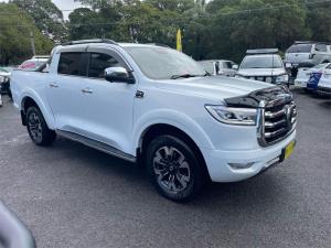 2022 GWM Ute Utility Cannon-X NPW