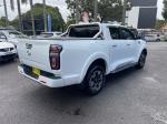 2022 GWM Ute Utility Cannon-X NPW