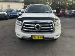 2022 GWM Ute Utility Cannon-X NPW