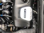 2019 Hyundai i30 Hatchback N Line Premium PD.3 MY20