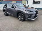 2018 Lexus NX Wagon NX300 F Sport AGZ10R