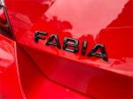 2020 SKODA Fabia Hatchback 81TSI Monte Carlo NJ MY21