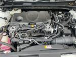 2019 Toyota Camry Sedan Ascent AXVH71R